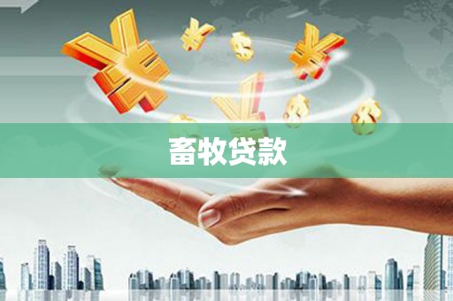 上街畜牧贷款