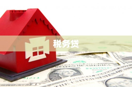 上街税务贷