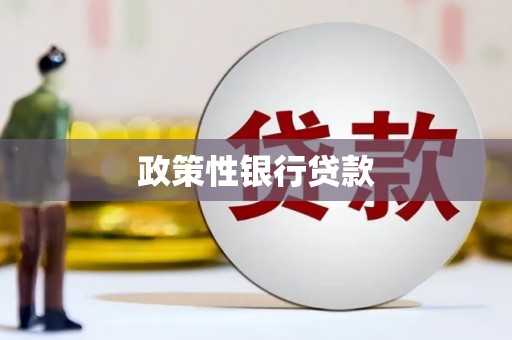 上街政策性银行贷款
