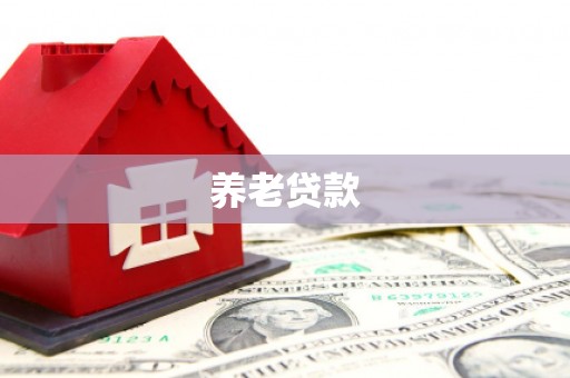 上街养老贷款