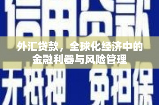 上街外汇贷款，全球化经济中的金融利器与风险管理