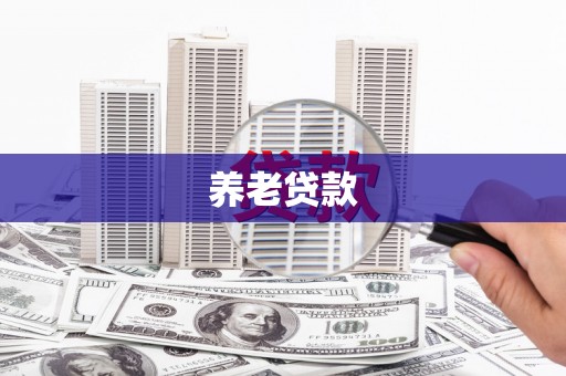 上街养老贷款
