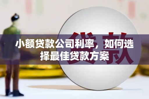 上街小额贷款公司利率，如何选择最佳贷款方案