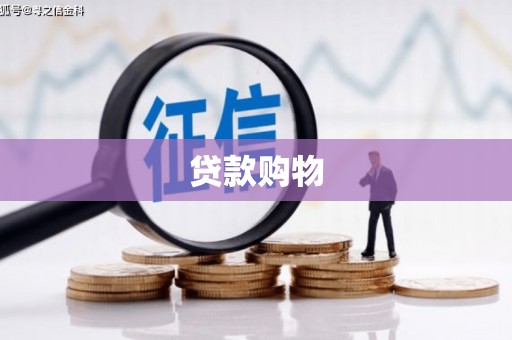 上街贷款购物