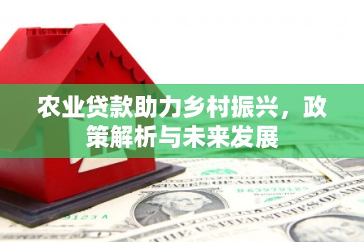 上街农业贷款助力乡村振兴，政策解析与未来发展