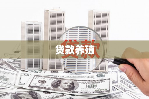 上街贷款养殖