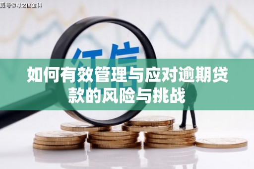 上街如何有效管理与应对逾期贷款的风险与挑战