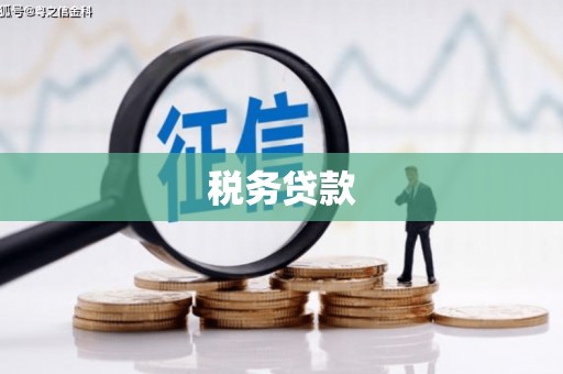 上街税务贷款