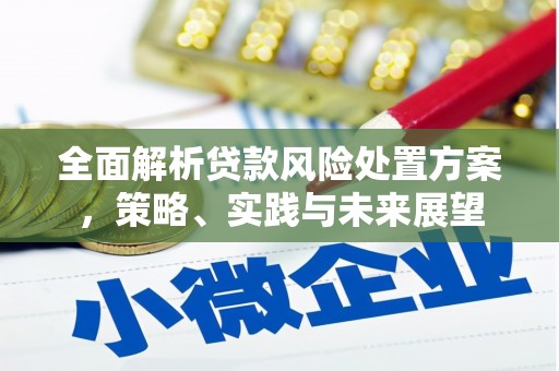上街全面解析贷款风险处置方案，策略、实践与未来展望