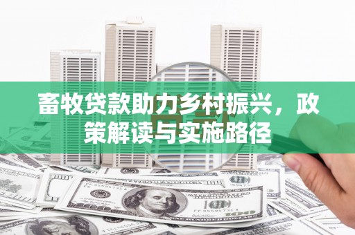 上街畜牧贷款助力乡村振兴，政策解读与实施路径