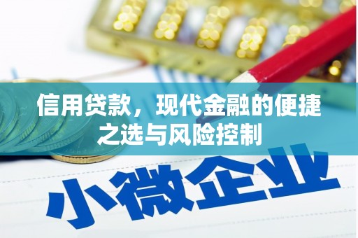 上街信用贷款，现代金融的便捷之选与风险控制