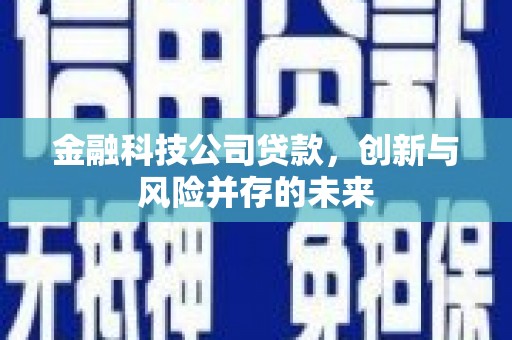 上街金融科技公司贷款，创新与风险并存的未来
