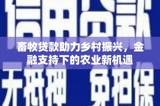 上街畜牧贷款助力乡村振兴，金融支持下的农业新机遇