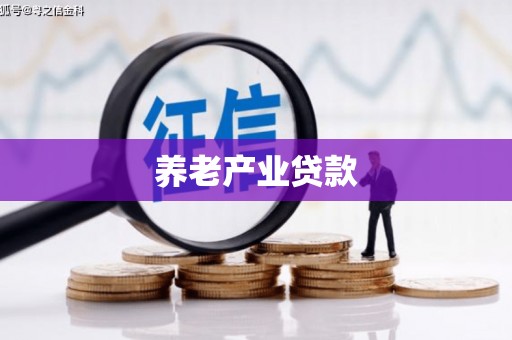 上街养老产业贷款