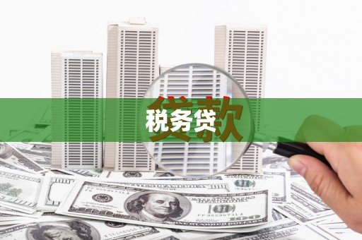 上街税务贷