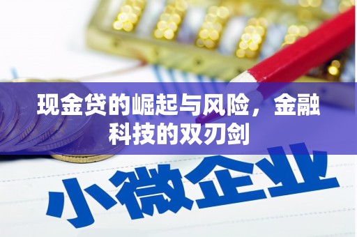 上街现金贷的崛起与风险，金融科技的双刃剑