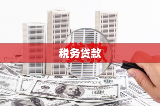 上街税务贷款