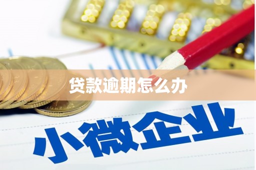 上街贷款逾期怎么办