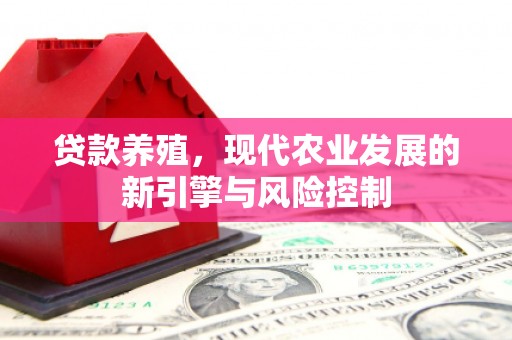 上街贷款养殖，现代农业发展的新引擎与风险控制