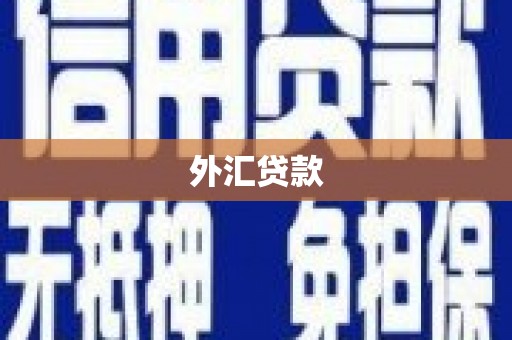 上街外汇贷款