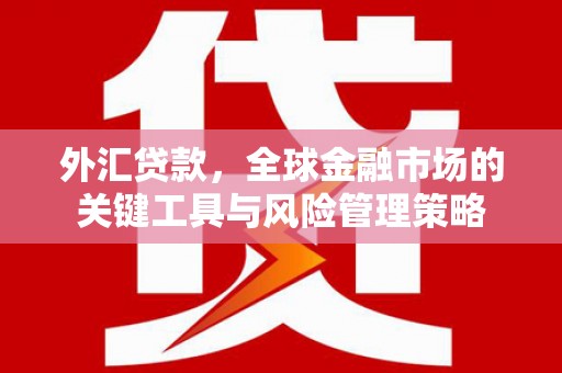 上街外汇贷款，全球金融市场的关键工具与风险管理策略