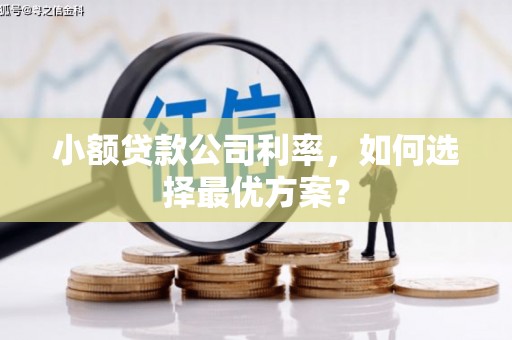 上街小额贷款公司利率，如何选择最优方案？