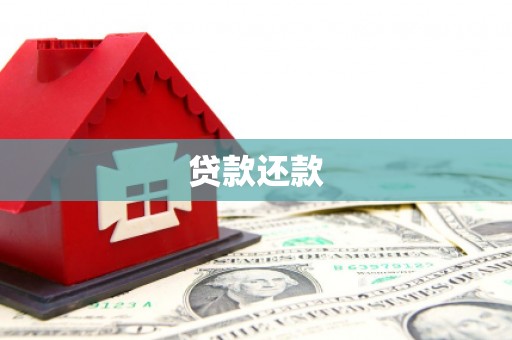 上街贷款还款