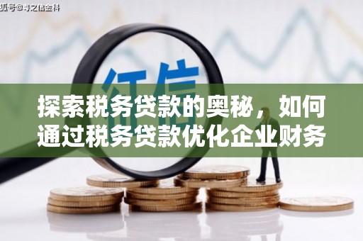 上街探索税务贷款的奥秘，如何通过税务贷款优化企业财务