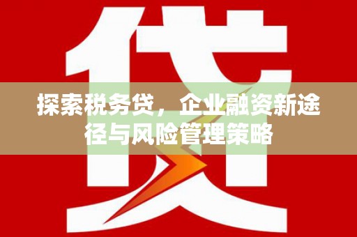 上街探索税务贷，企业融资新途径与风险管理策略