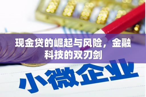 上街现金贷的崛起与风险，金融科技的双刃剑