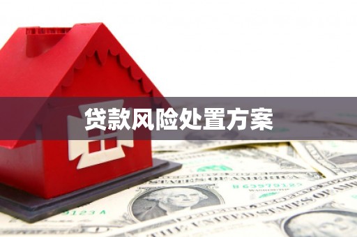 上街贷款风险处置方案
