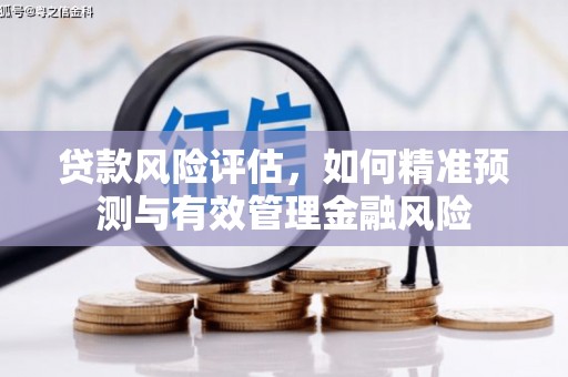上街贷款风险评估，如何精准预测与有效管理金融风险
