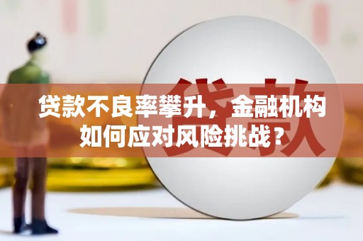 上街贷款不良率攀升，金融机构如何应对风险挑战？