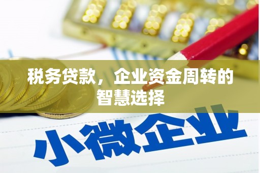 上街税务贷款，企业资金周转的智慧选择