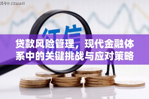 上街贷款风险管理，现代金融体系中的关键挑战与应对策略