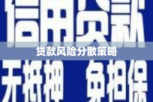 上街贷款风险分散策略