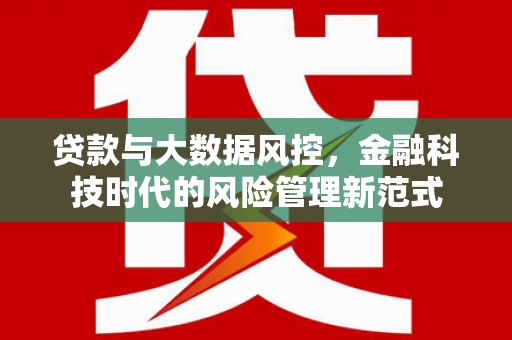 上街贷款与大数据风控，金融科技时代的风险管理新范式