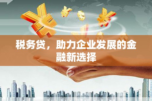 上街税务贷，助力企业发展的金融新选择