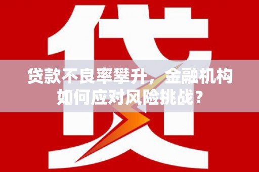 上街贷款不良率攀升，金融机构如何应对风险挑战？