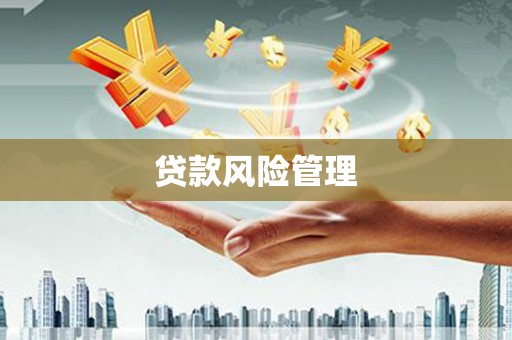 上街贷款风险管理