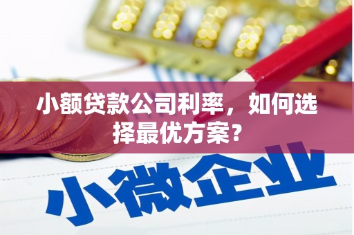 上街小额贷款公司利率，如何选择最优方案？