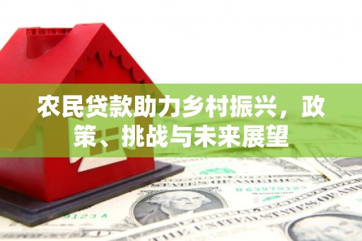 上街农民贷款助力乡村振兴，政策、挑战与未来展望