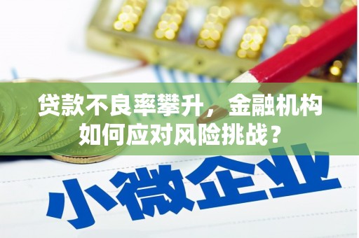 上街贷款不良率攀升，金融机构如何应对风险挑战？