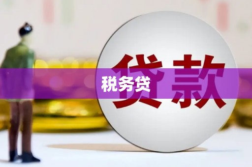 上街税务贷