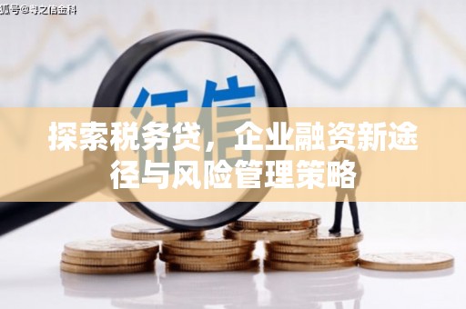 上街探索税务贷，企业融资新途径与风险管理策略