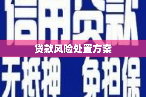 上街贷款风险处置方案