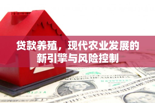 上街贷款养殖，现代农业发展的新引擎与风险控制