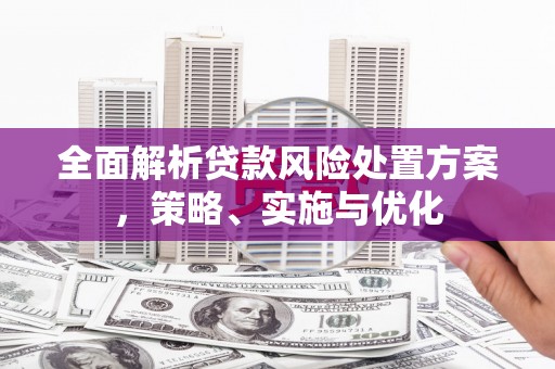 上街全面解析贷款风险处置方案，策略、实施与优化