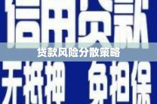 上街贷款风险分散策略