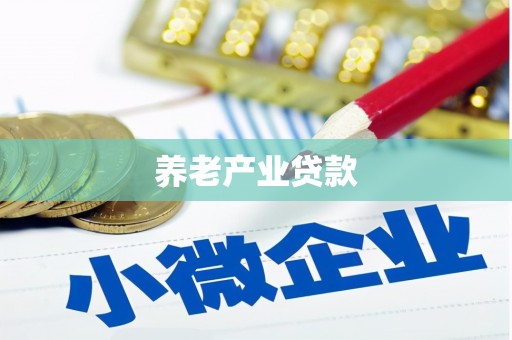 上街养老产业贷款